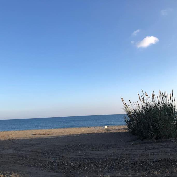 Bahia de Casares Schoenes Penthouse Mit Meerblick Pura Vida מראה חיצוני תמונה